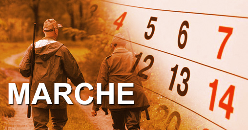 Calendario Venatorio Marche